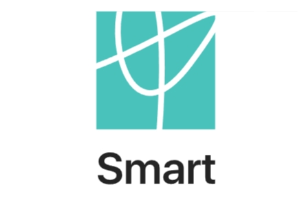 Smart институт